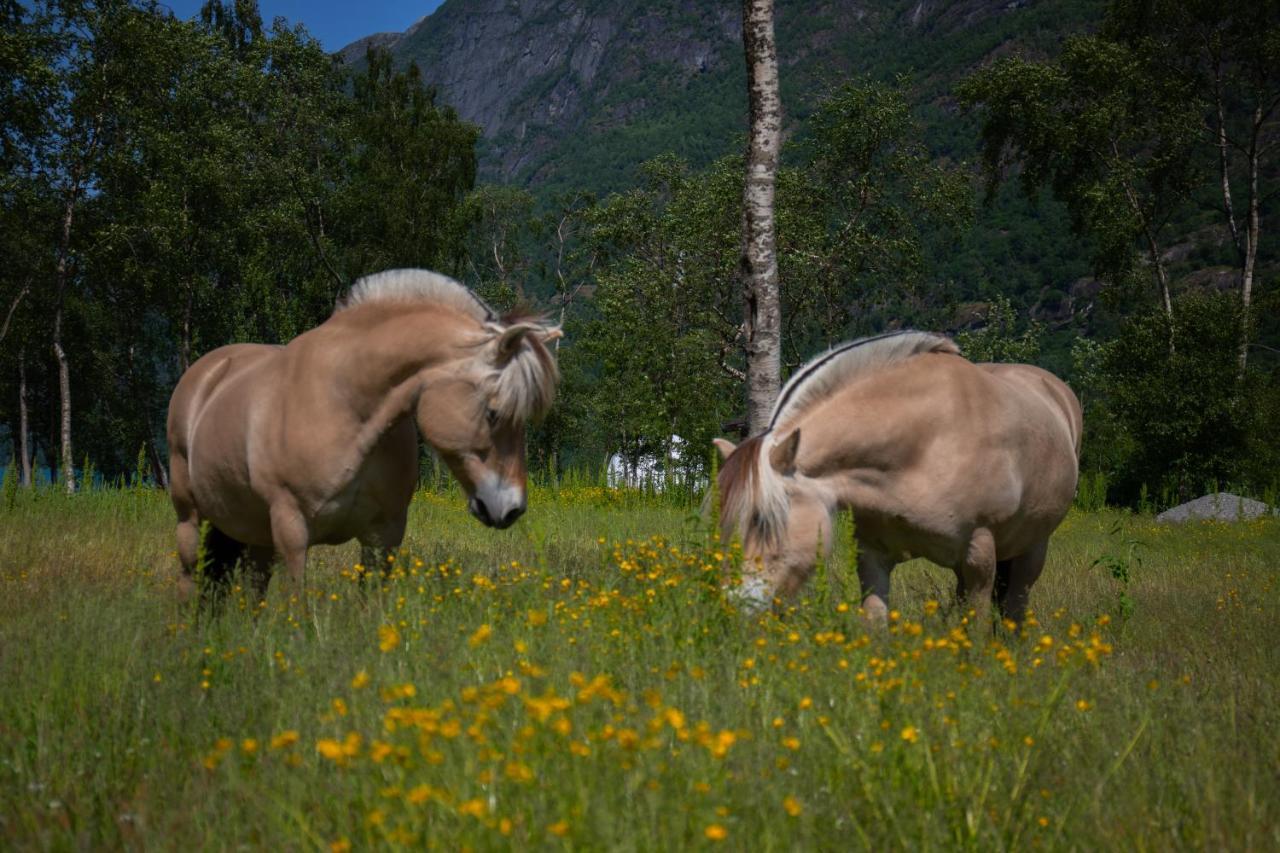 Olden Glamping - One With Nature Stryn Kültér fotó